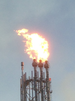 Coal - Chemical Industry Elevated Flare System Based On Vent Gas Treatment Capacity