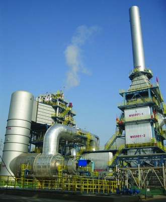 Waste Gas Thermal Oxidizer for decontamination of toxic & harmful gas and liquid