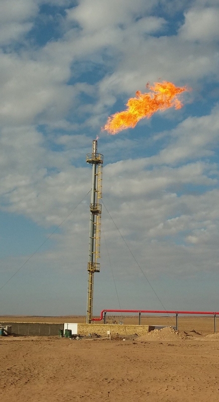 Coal - Chemical Industry Elevated Flare System Based On Vent Gas Treatment Capacity
